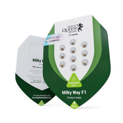 Milky Way F1 - Royal Queen Seeds