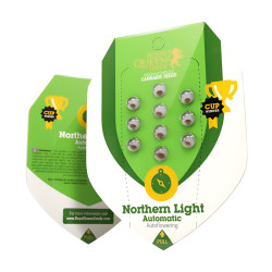 Northern Light Autofiorente della Royal Queen Seeds