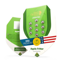 Apple Fritter Auto - Royal Queen Seeds