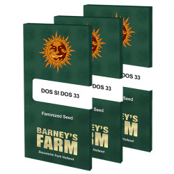 Dos-Si-Dos 33 von Barney's Farm