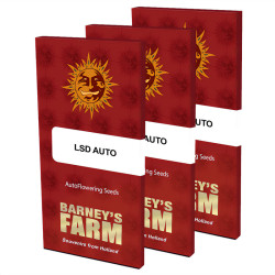 Barney's Farm Auto LSD -Samenpaket