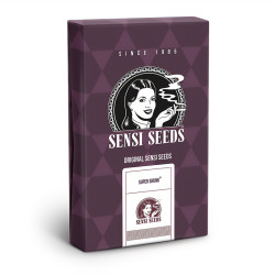 Super Skunk von Sensi Seeds