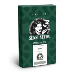 Skunk 1 Regular von Sensi Seeds