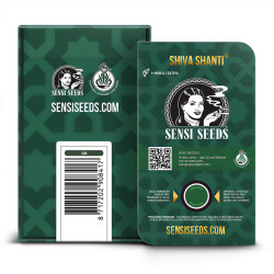 Shiva Shanti Regular von Sensi Seeds