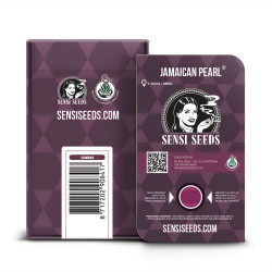 Jamaican Pearl von Sensi Seeds