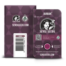 Durban feminizada de Sensi Seeds