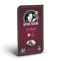 Durban feminisiert - Sensi Seeds