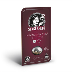 Himalayan CBD - Sensi Seeds