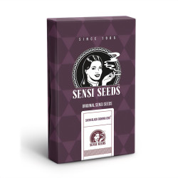 Satin Black Domina CBD de Sensi Seeds