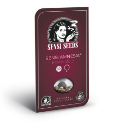 Sensi Amnesia - Sensi Seeds