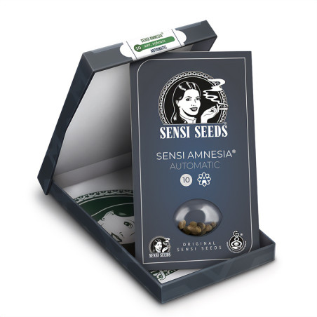 Sensi Amnesia Auto - Sensi Seeds