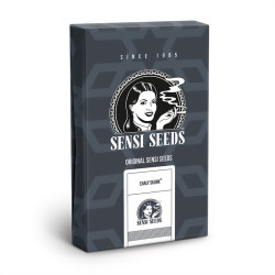 Early Skunk Auto - Sensi Seeds