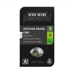 Afghan Pearl CBD Auto von Sensi Seeds