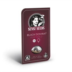 Black Domina - Sensi Seeds