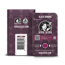 Black Domina von Sensi Seeds