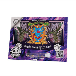 Purple Punch OG XL Auto -Samenpackung de Sweet Seeds