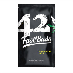 FastBuds Blackberry Auto Seeds