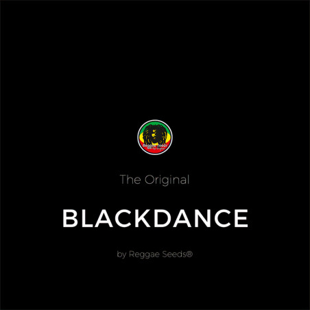 Black Dance - Dutch Passion