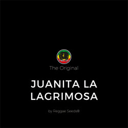 Juanita la Lagrimosa - Dutch Passion