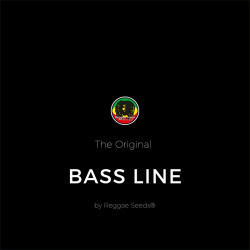 Bass Line - Dutch Passion