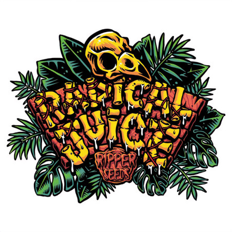 Radical Juice - Dutch Passion