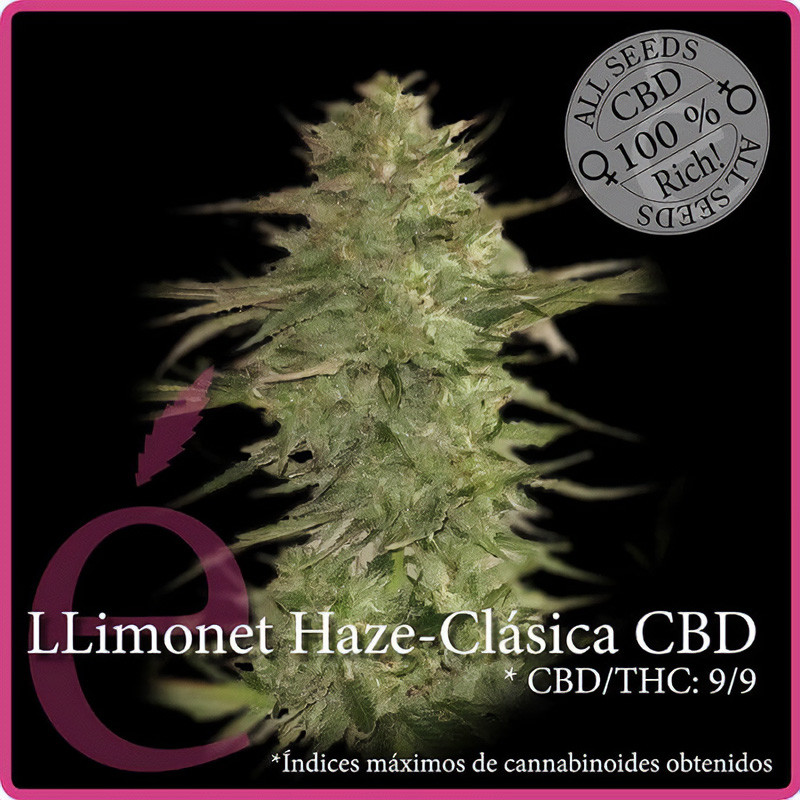 Llimonet Haze Clasicà CBD - Dutch Passion