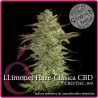 Llimonet Haze Clasicà CBD - Dutch Passion