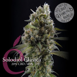 Solodiol Classic CBD von Dutch Passion