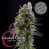 Solodiol Classic CBD - Dutch Passion