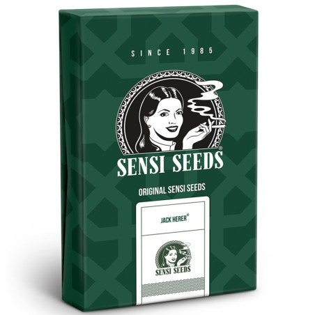 Jack Herer Regolare - Sensi Seeds