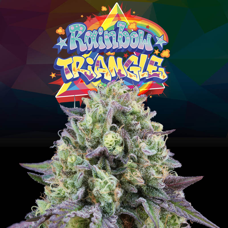 Rainbow Triangle - Perfect Tree