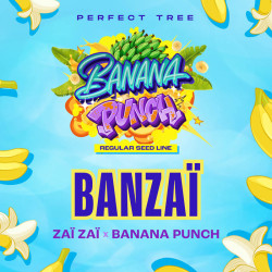 Perfect Tree Regular Banzai Samen