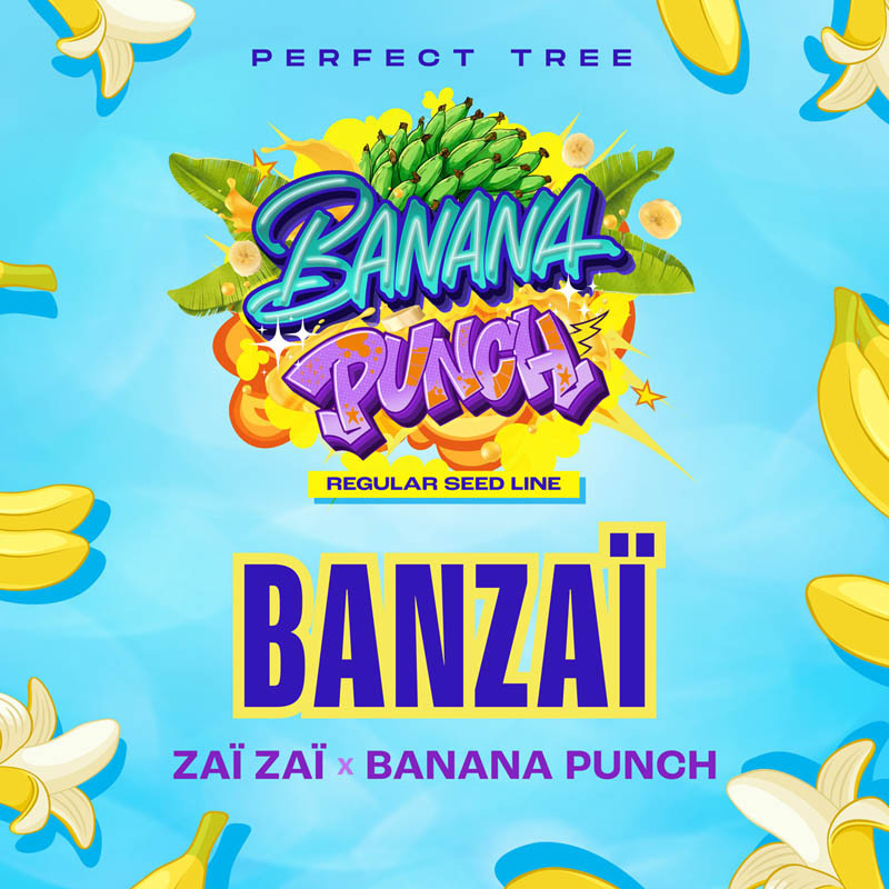 Banzai normal – Perfect Tree