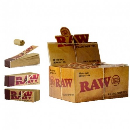 Filterbox aus Pappe – RAW